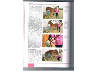 Sport Alles over paardrijden &ndash; Christiane Gohl