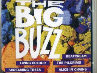 The Big Buzz Diverse Artiesten 15 nrs CD 1993 ZGAN