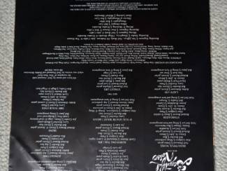 Grammofoon / Vinyl Neil Diamond Beautiful Noise 11 nrs lp 1976 ZGAN