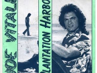 Joe Vitale ‎– Plantation Harbor Vinyl Single 1981 ZGAN