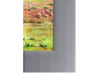 Flora en Fauna Schaapherder, mag ik je wat vragen? &ndash; Joop van Limbeek