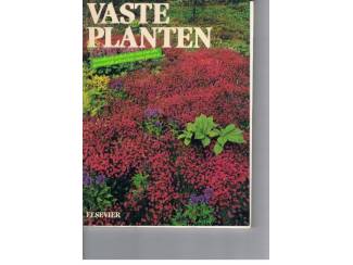 Vaste planten