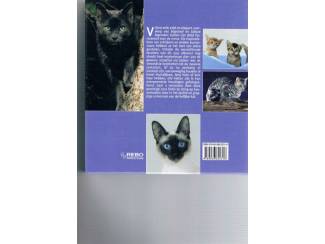 Huisdieren Katten &ndash; 1001 foto's