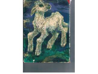 Religieus Bijbel voor de kinderen