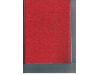 Religieus Bijbel voor de kinderen