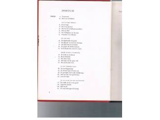 Religieus Bijbel voor de kinderen