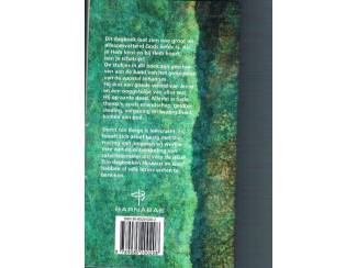 Religieus Schatrijk! &ndash; Bijbels dagboek voor jongeren