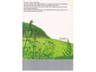 Kinderboeken Het wilde zwijn