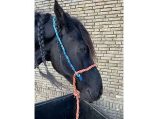 Paarden | Toebehoren Paardenhalster