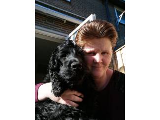 Kan jij hier aan voldoen?