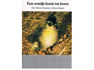 Jeugdboeken Een eendje komt tot leven