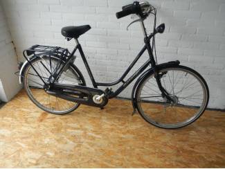 gazelle maxinette