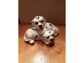 Hond beeld van 2 zwart witte  liggende honden dalmatiërs 