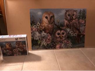 Denksport en Puzzels Uilen puzzel Amy Design 1000 stukjes 3 uilen.
