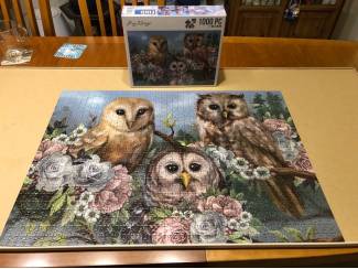 Denksport en Puzzels Uilen puzzel Amy Design 1000 stukjes 3 uilen.