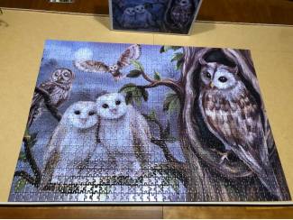 Denksport en Puzzels Uilen puzzel Amy Design 1000 stukjes 5 uilen en boom