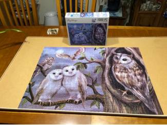 Denksport en Puzzels Uilen puzzel Amy Design 1000 stukjes 5 uilen en boom