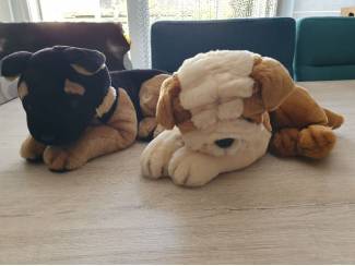 2 pluche hondjes