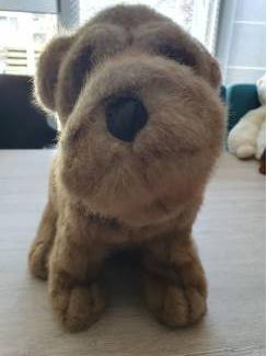 pluche hond