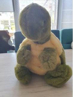 pluche schildpad