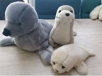 pluche zeehonden