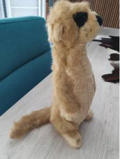 Speelgoed | Knuffels pluche Stokstaartje