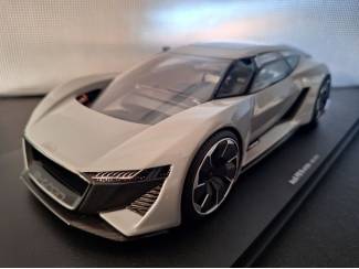 Audi P8 e-Tron Schaal 1:18