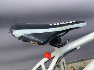 Mountainbikes & ATB's Giant Revel 26 inch