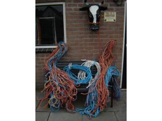 Paarden Halster voor paarden