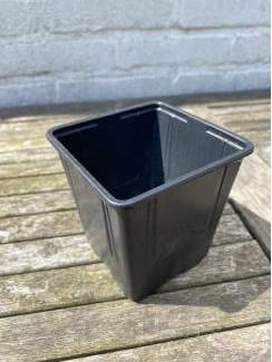 Noord Holland 400+ kweekbakjes