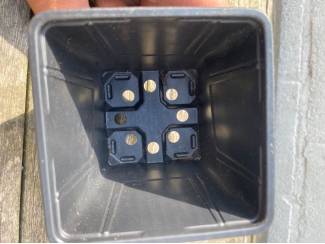 Noord Holland 400+ kweekbakjes