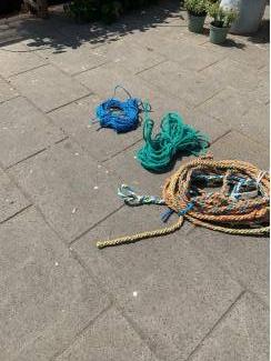 Vee | Toebehoren Koptouwen voor koeien