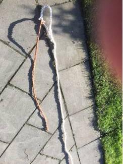 Vee | Toebehoren Koptouwen voor koeien