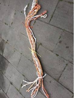 Vee | Toebehoren Koptouwen voor koeien