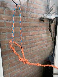Paarden halsters