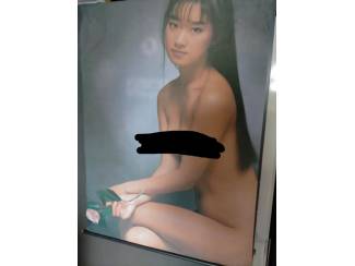 grote linnen poster