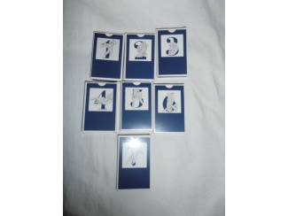 Gezelschapsspellen Spel PartnerLink