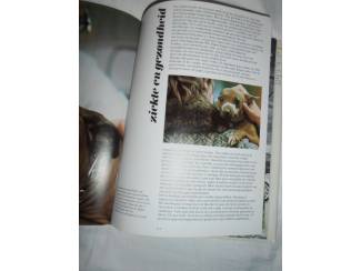 Huisdieren Groot honden boek – Wim Koesen
