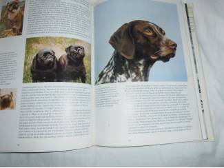 Huisdieren Groot honden boek – Wim Koesen