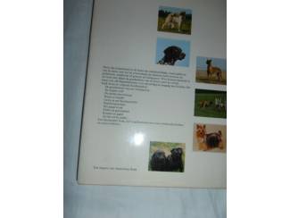 Huisdieren Groot honden boek &ndash; Wim Koesen