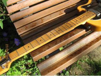 Snaarinstrumenten | Gitaren | Elektrisch Ovation 'Viper"