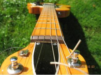 Snaarinstrumenten | Gitaren | Elektrisch Ovation 'Viper"