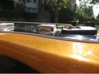 Snaarinstrumenten | Gitaren | Elektrisch Ovation 'Viper"