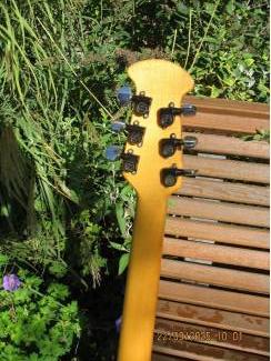 Snaarinstrumenten | Gitaren | Elektrisch Ovation 'Viper"