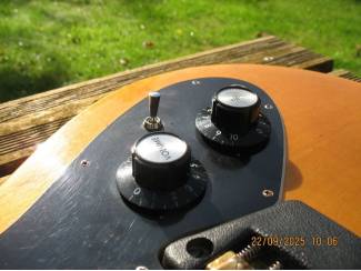 Snaarinstrumenten | Gitaren | Elektrisch Ovation 'Viper"