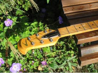 Snaarinstrumenten | Gitaren | Elektrisch Ovation 'Viper"