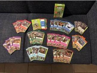 Gezelschapsspellen Dino weetjes kwartet (6 plus ).