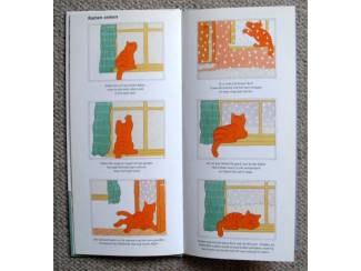 Luisterboeken Jet Boeke Lezen en Luisteren met Dikkie Dik boek+cd ZGAN