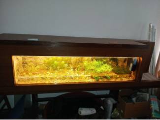 Unieke grote aquarium