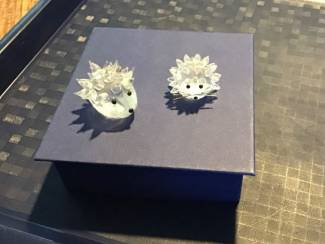 Glas en Kristal Swarovski